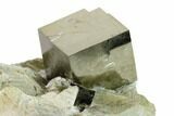 Natural Pyrite Cube In Rock - Navajun, Spain #152287-2